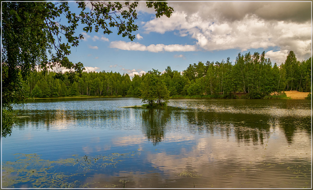 Озеро в лесу 6 - Андрей Дворников