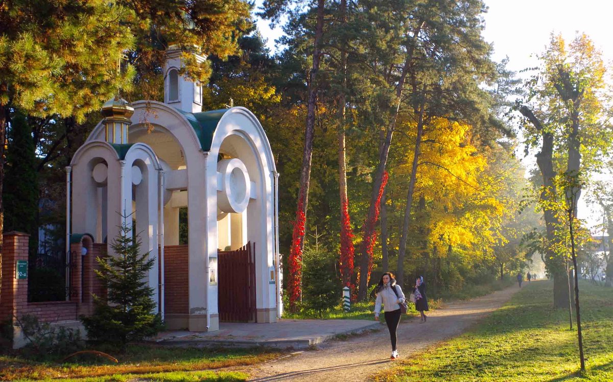 утренний свет - юрий иванов