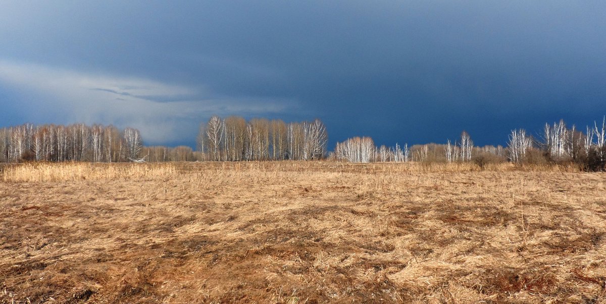 Весеннее поле, весеннее небо - Сергей Никифоров