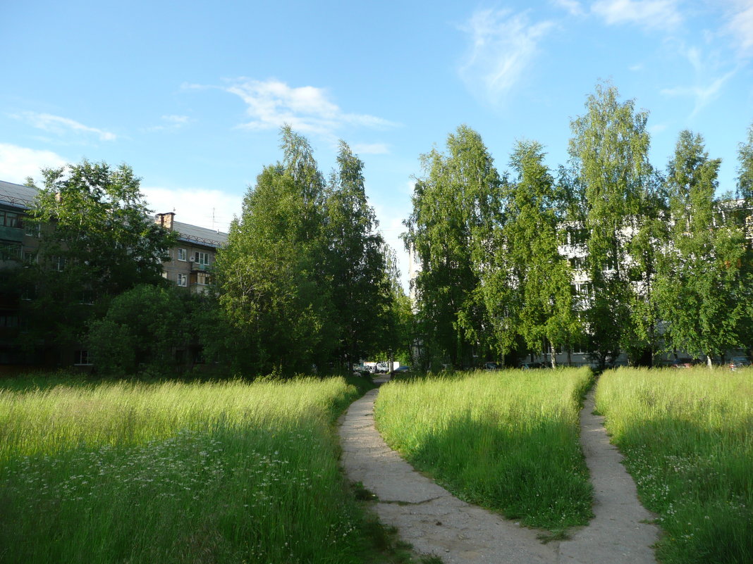 Городские тропинки - Виктор 