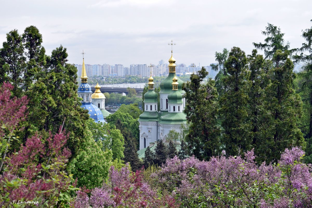 Выдубицкий монастырь - Татьяна Ларионова