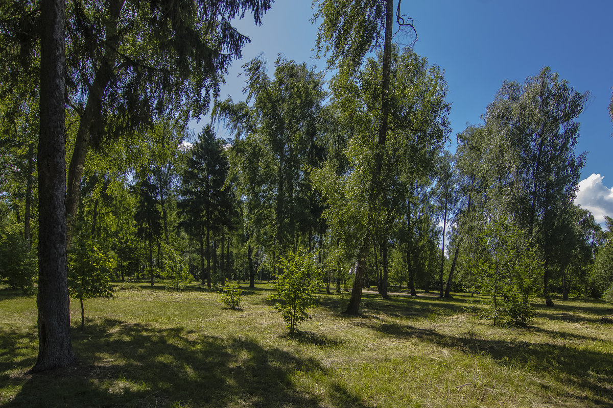 в парке - Петр Беляков