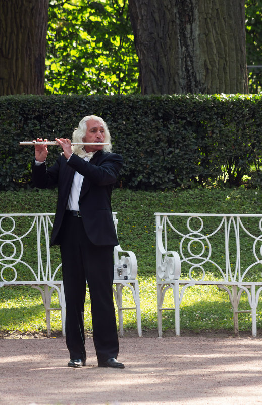 Музыкант в парке - Aнна Зарубина