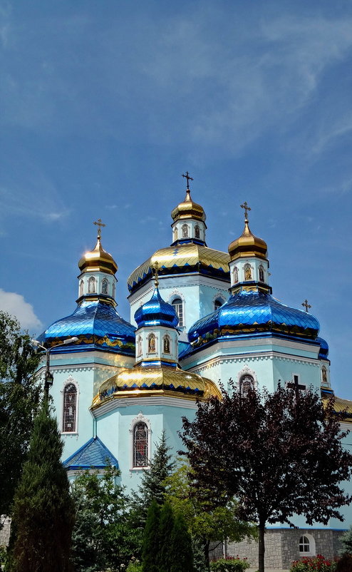 Троицкий собор - Владимир Бровко