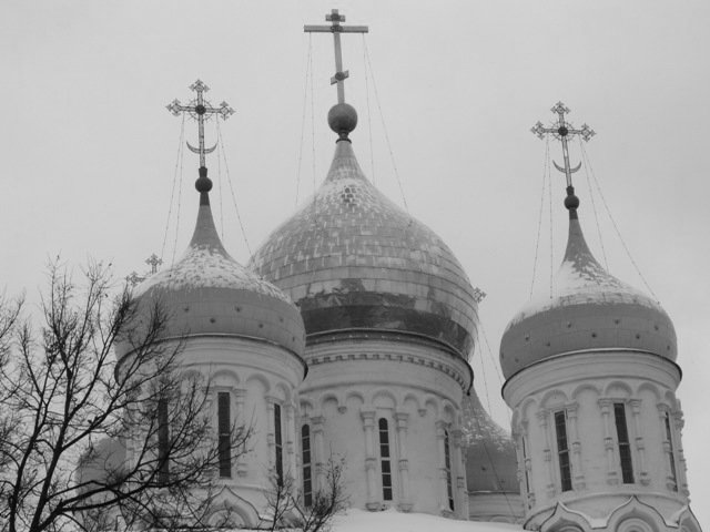 Купола собора - Дмитрий Никитин