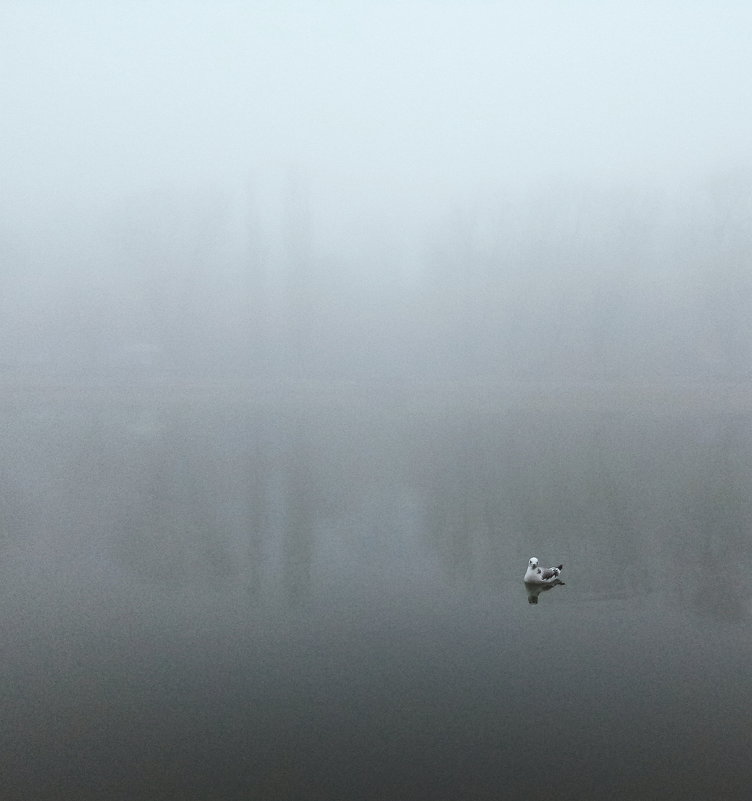 Озеро #2 - Артем Абаноков