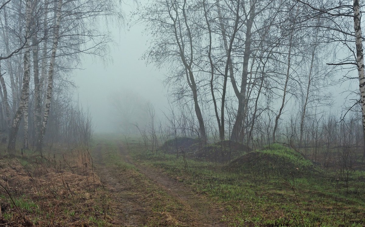 Весенний туман похож на обман - Валерий Иванович