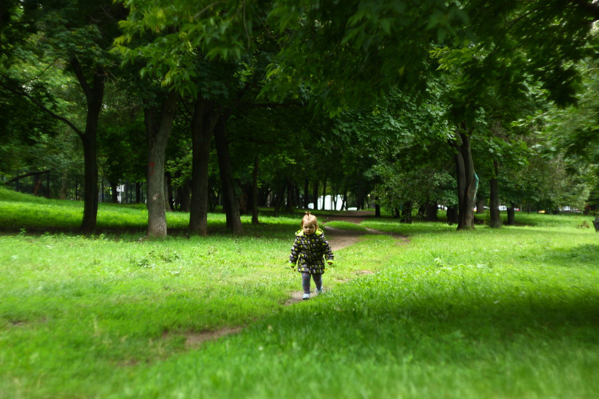 Алиса 14.07.2019г. - Виталий Виницкий