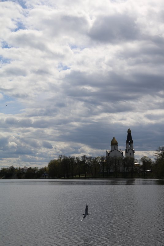 Весна в Сестрорецке - Ольга 