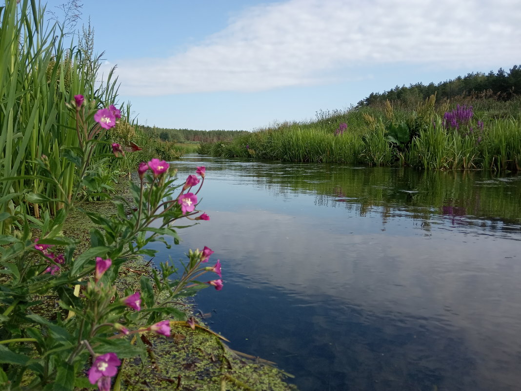 Река Лукна - Lijka 