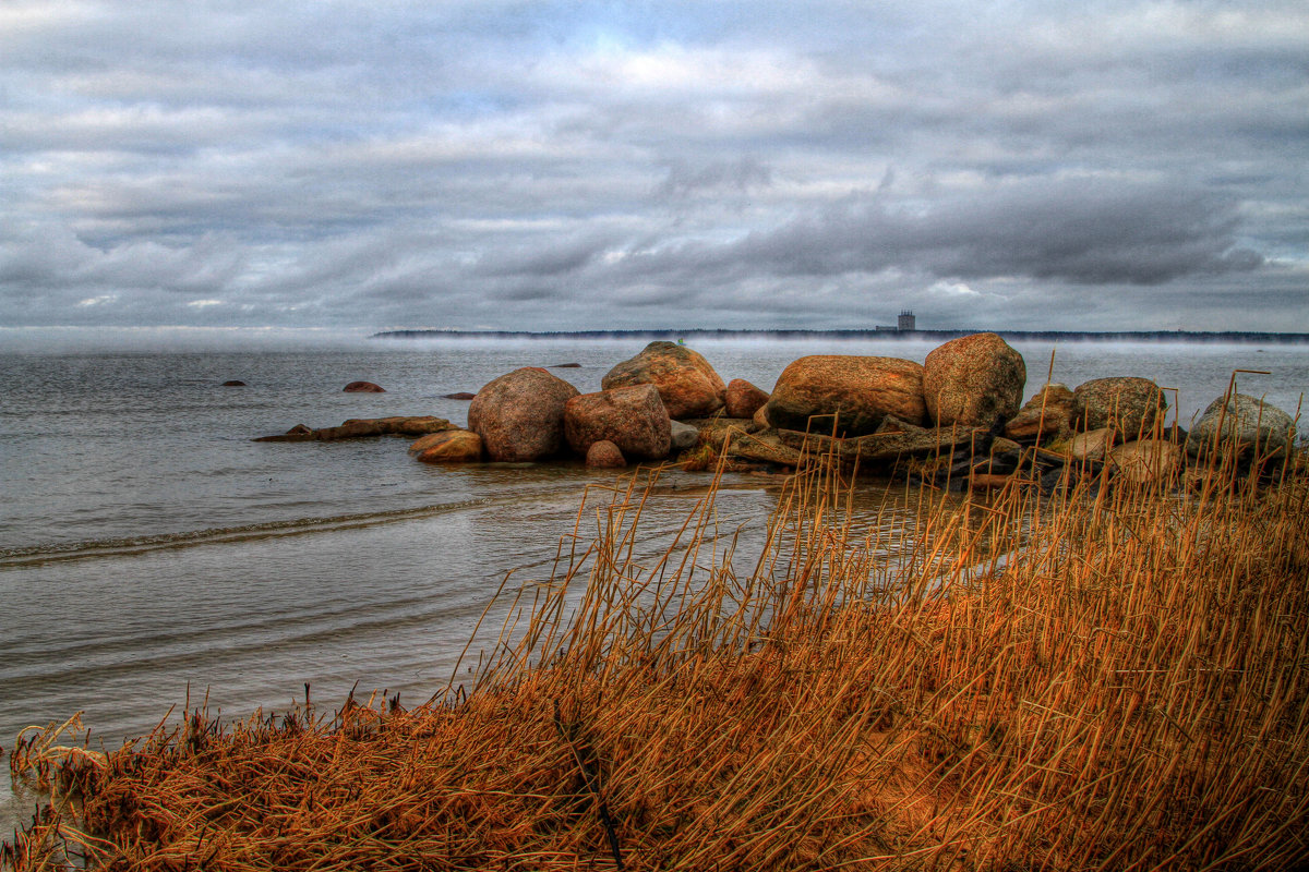 Залив осень финский залив