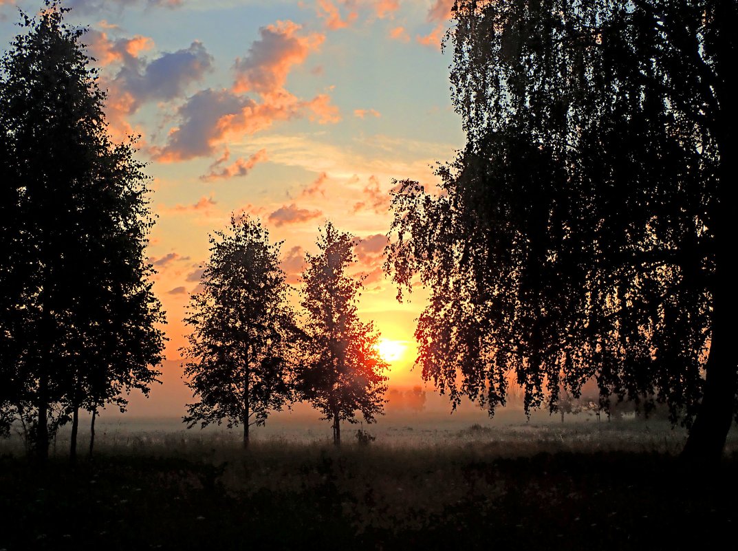 Туманное утро, июль - Геннадий Ячменев
