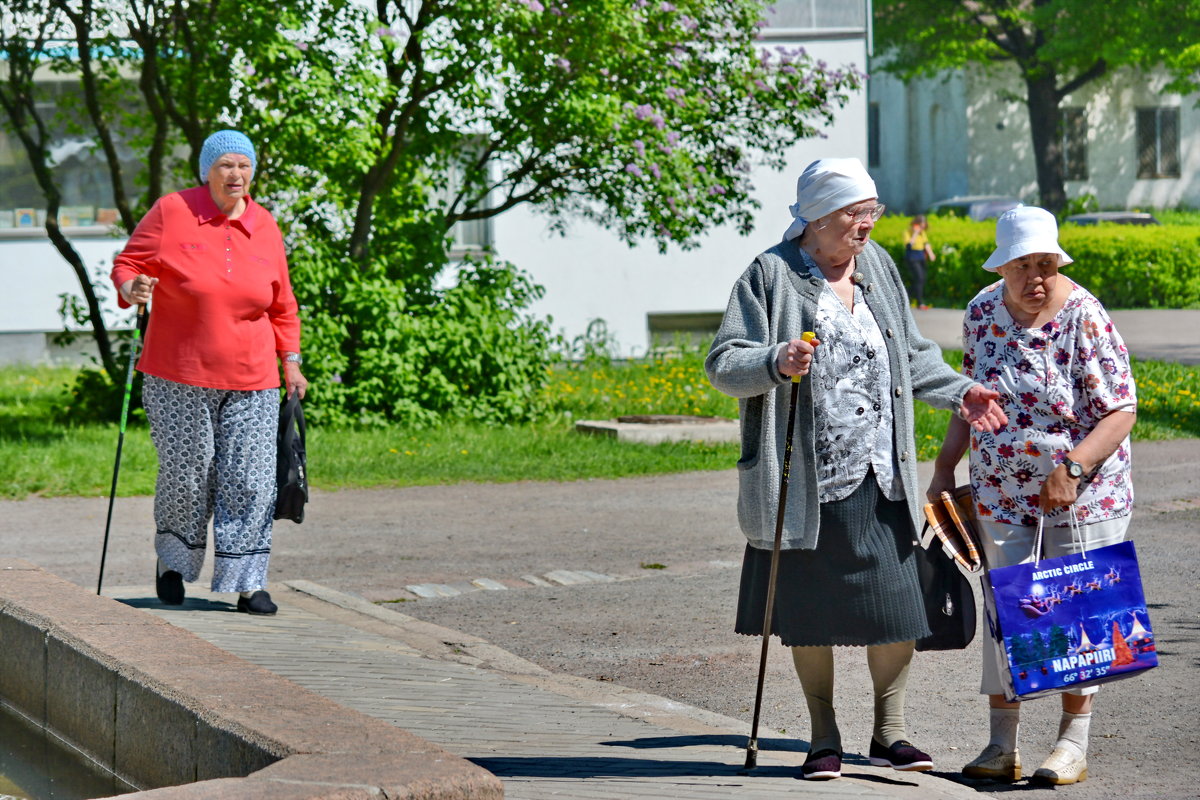 Бабушки-, бабушки, бубушки старушки. Бабушки, бабушки - ушки на макушке.... - Ольга Попова (popova/j2011)