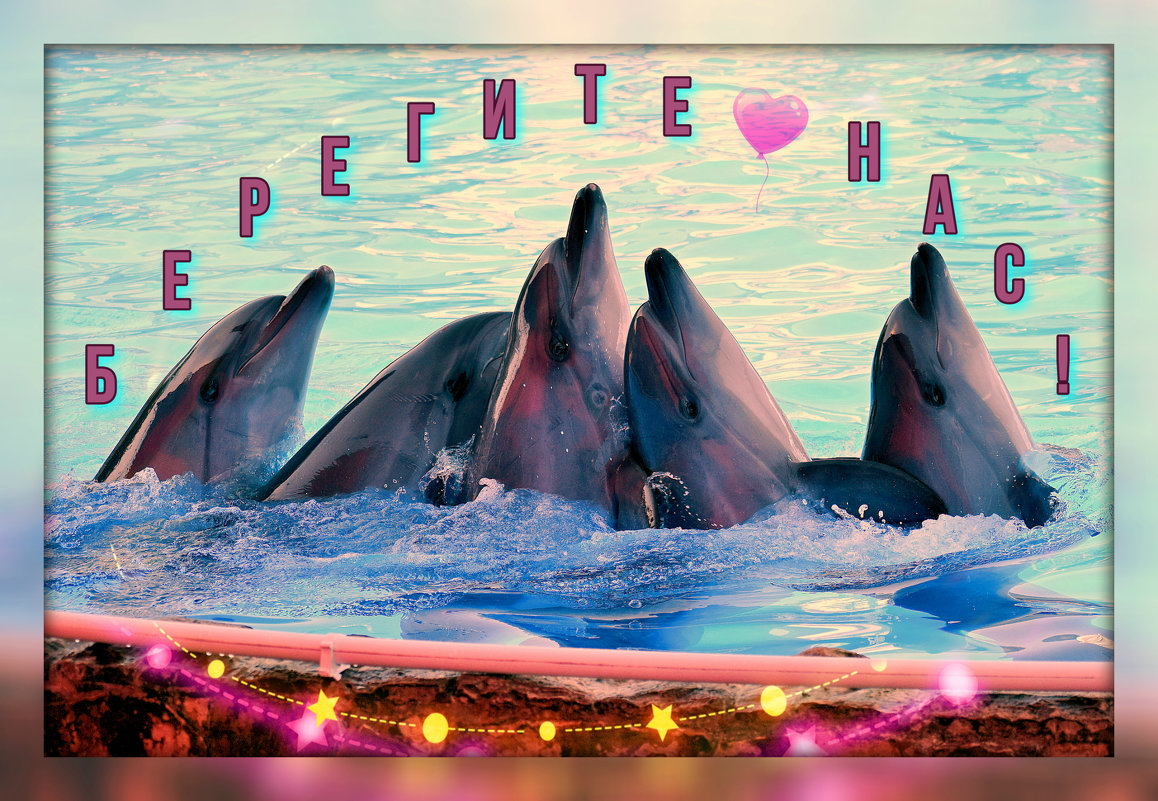 23 июля наша планета отмечает Всемирный день китов и дельфинов (World Whale and Dolphin Day). - Татьяна Помогалова