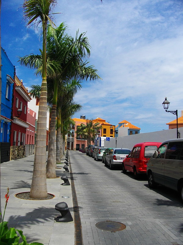 Улица в Пуэрто де ла Крус. - Лия ☼