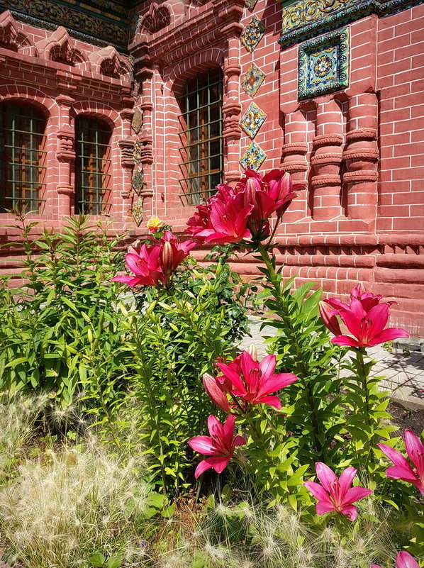 Красота старой архитектуры, радость июльского цветения, на Богоявленской площади Ярославля - Николай Белавин