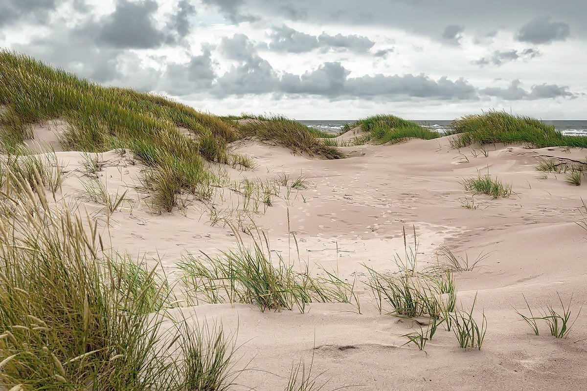 Between Palanga and Liepaja - Arturs Ancans