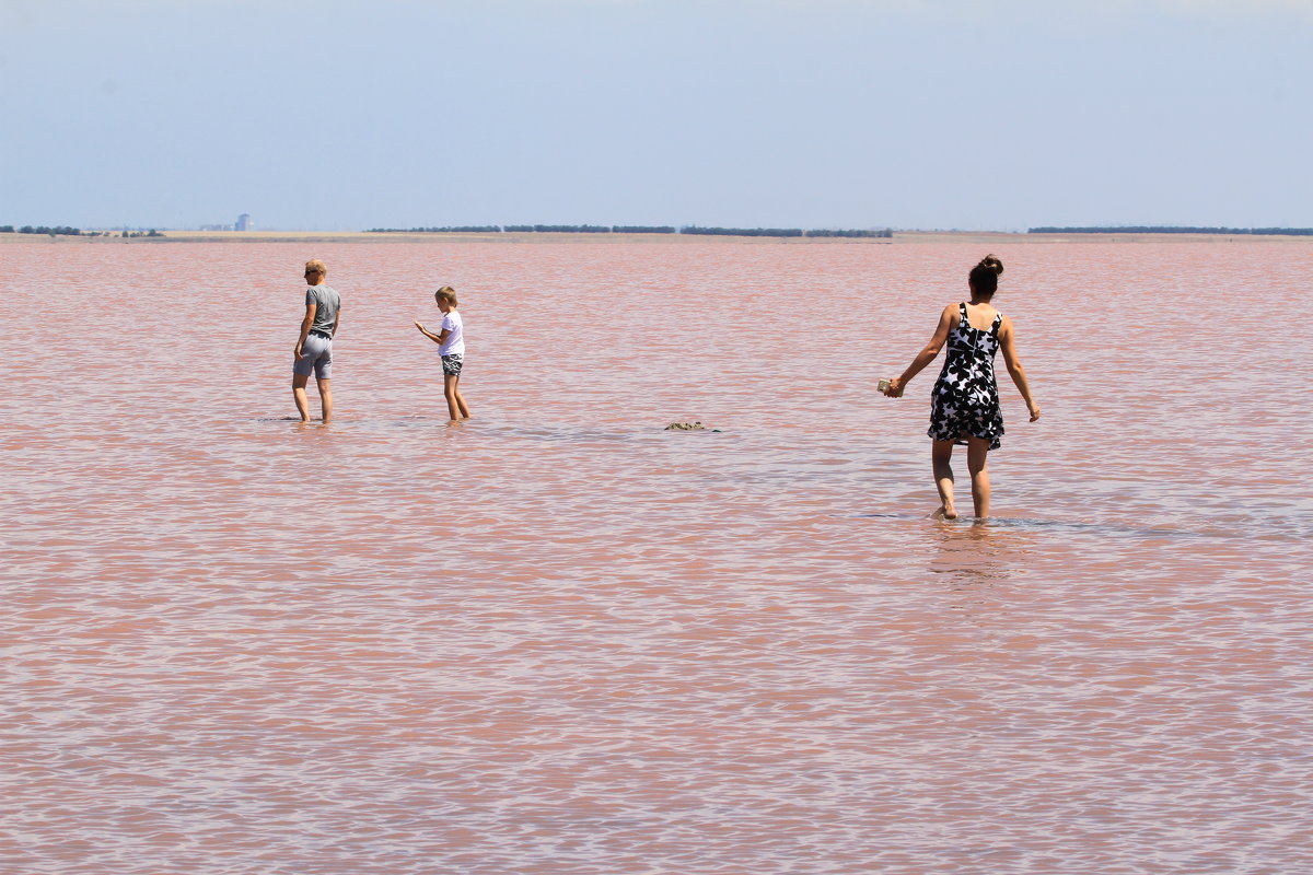 Крым розовое озероСасык - Ninell Nikitina