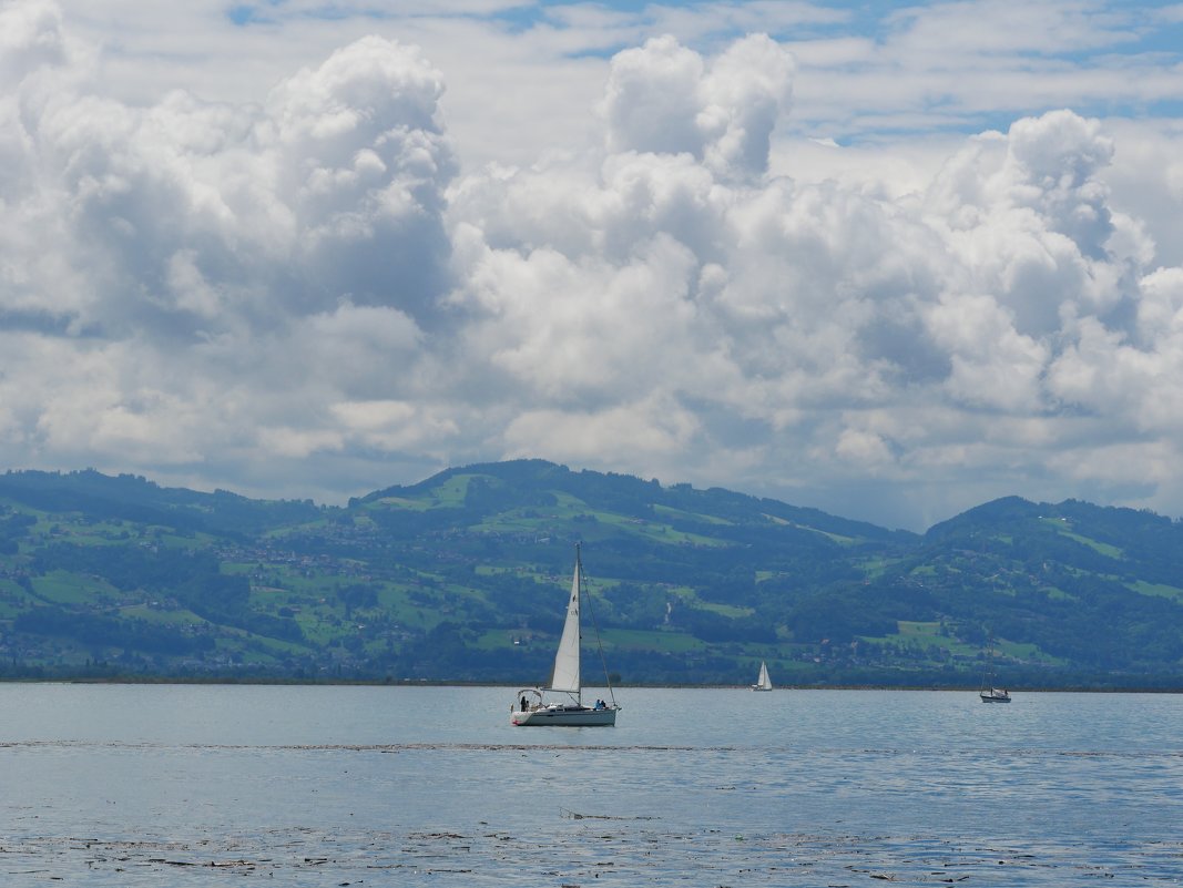 Bodensee - Friedrich Jakob