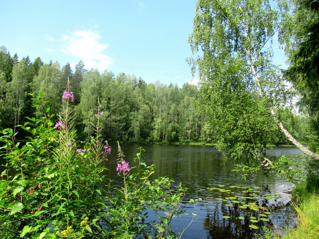 Озеро Длинное - Елена Павлова (Смолова)