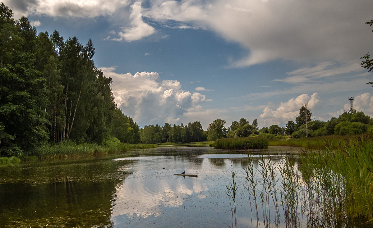 На озере - Сергей Цветков