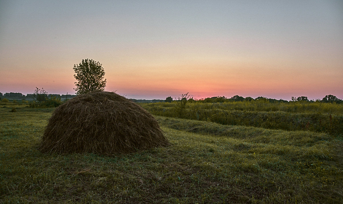 Лето - Александр Тулупов