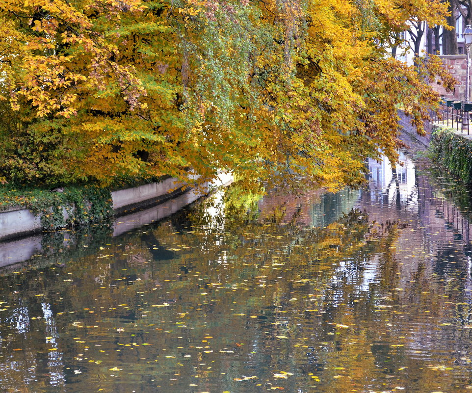 Осень в Эльзасе - Милана Гиличенски 