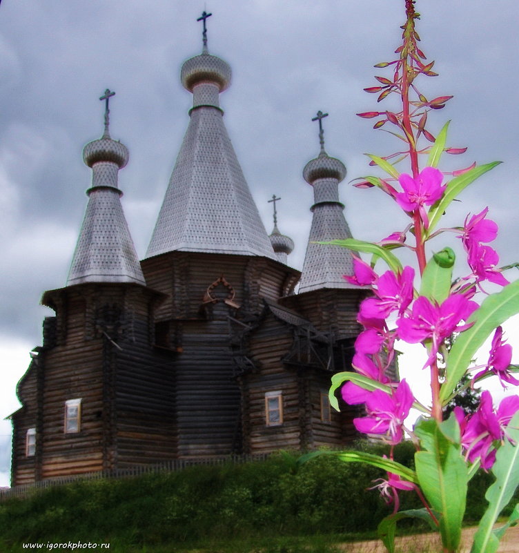 Очень редкий пяти шатровый храм в деревне Нёнокса - Игорь Корф