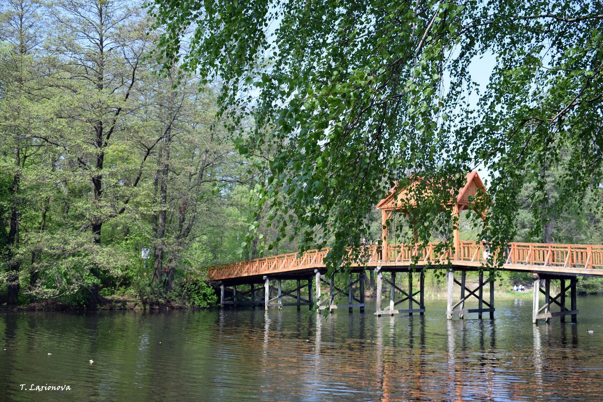 Лесопарк "Пуща Водица" Киев - Татьяна Ларионова