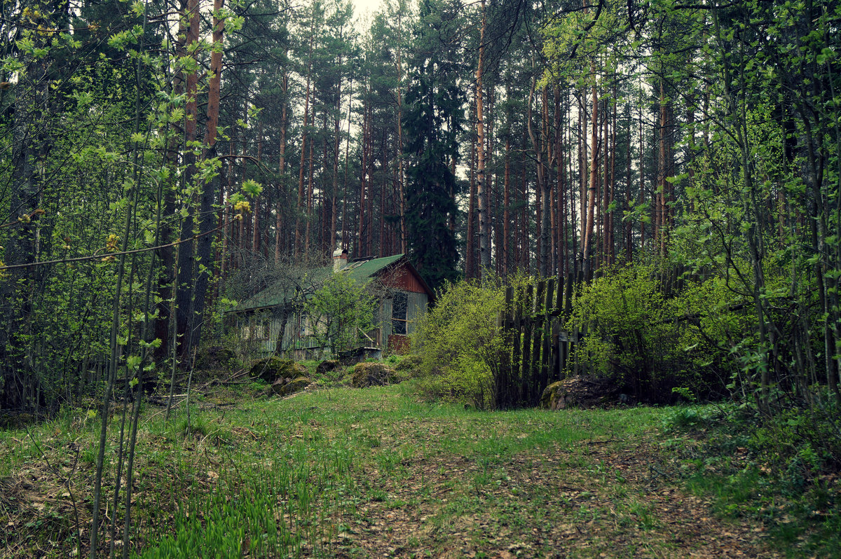 Лесной дом. - Sergey ///