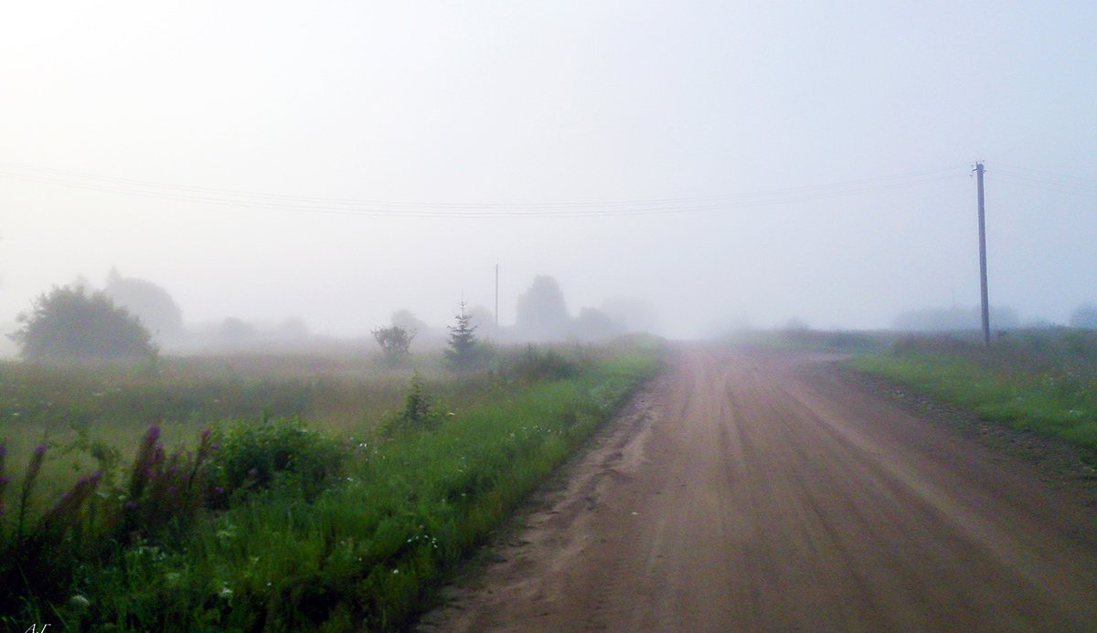 В туман - Александр 