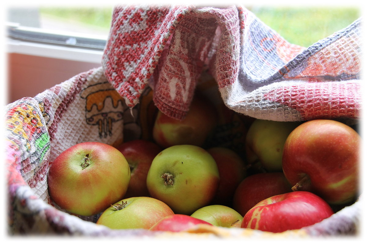 Отведайте наших яблочек.... - Tatiana Markova