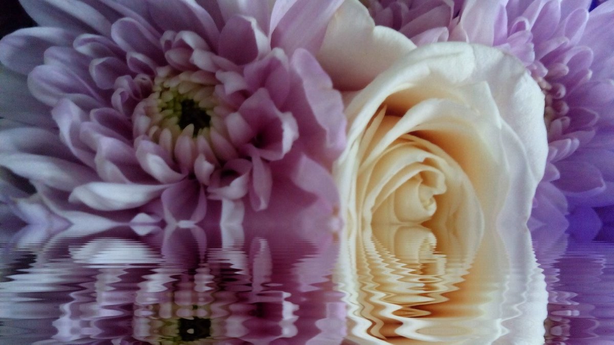 flowers - Елена Елена