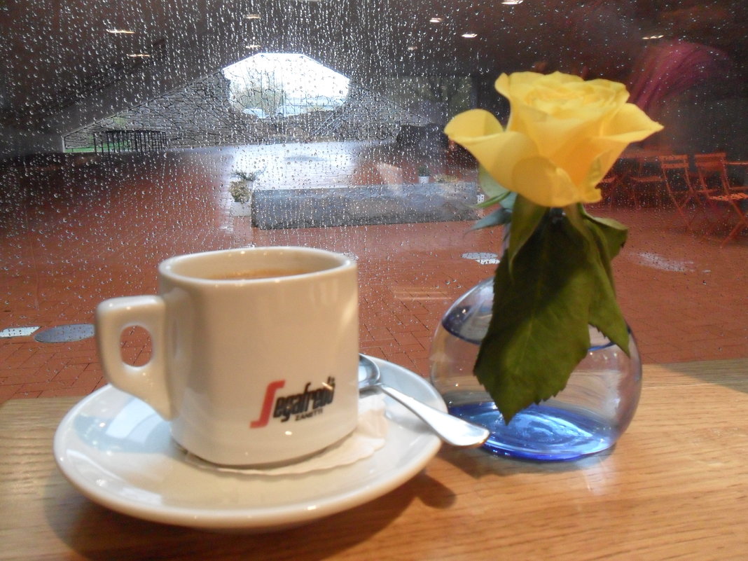 Роза, кофе, дождь - Julia Nikolina