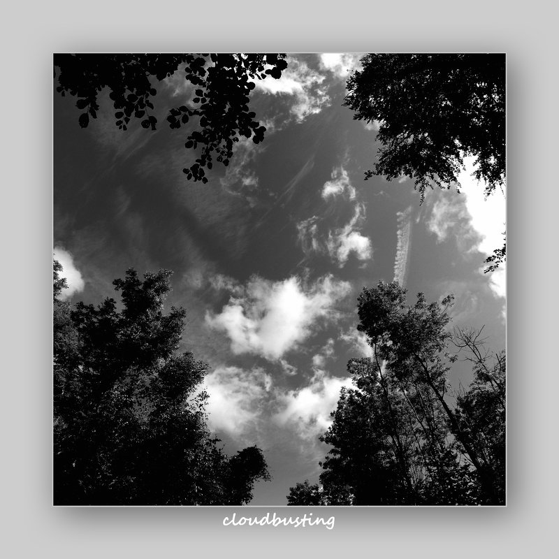cloudbusting - Heinz Thorns