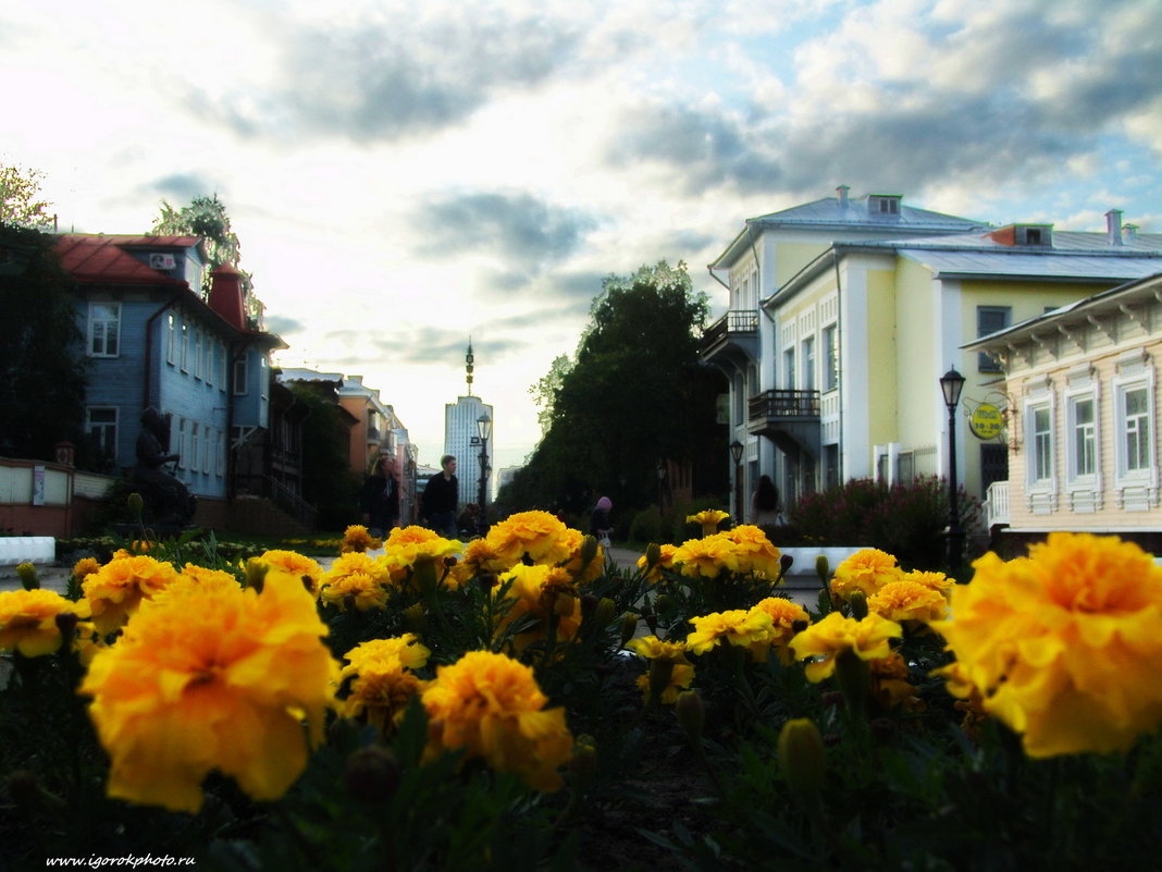 Городское - Игорь Корф