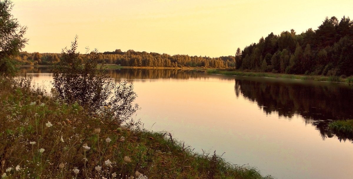 Августовский вечер на озере - Александр Бойченко