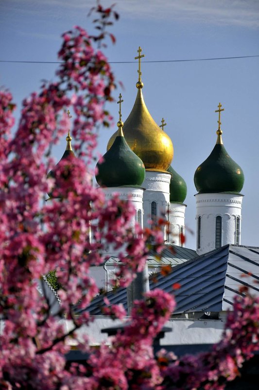 Купола Успенского кафедрального собора - Кирилл Иосипенко