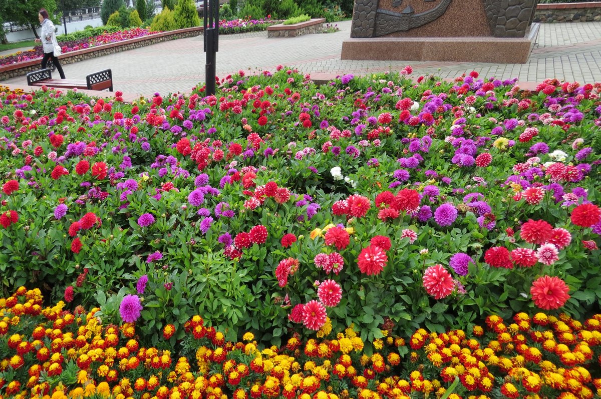Цветы у памятника Ольгерду - Вера Щукина