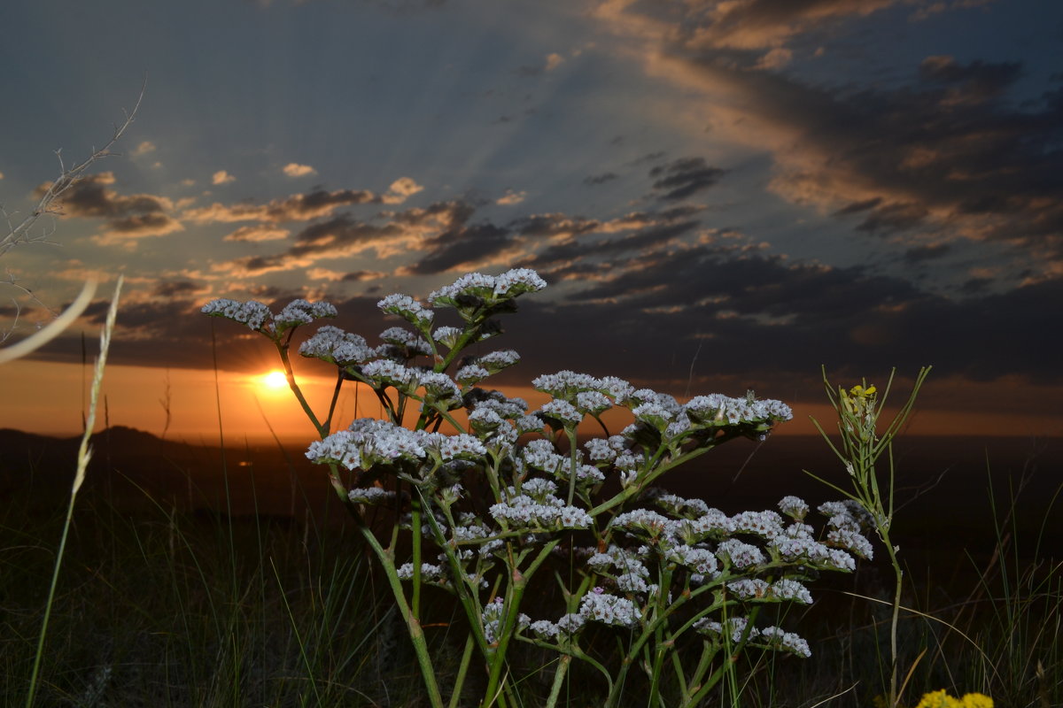 Мирный закат солнца,22 июня   ....Как это было... - Андрей Хлопонин