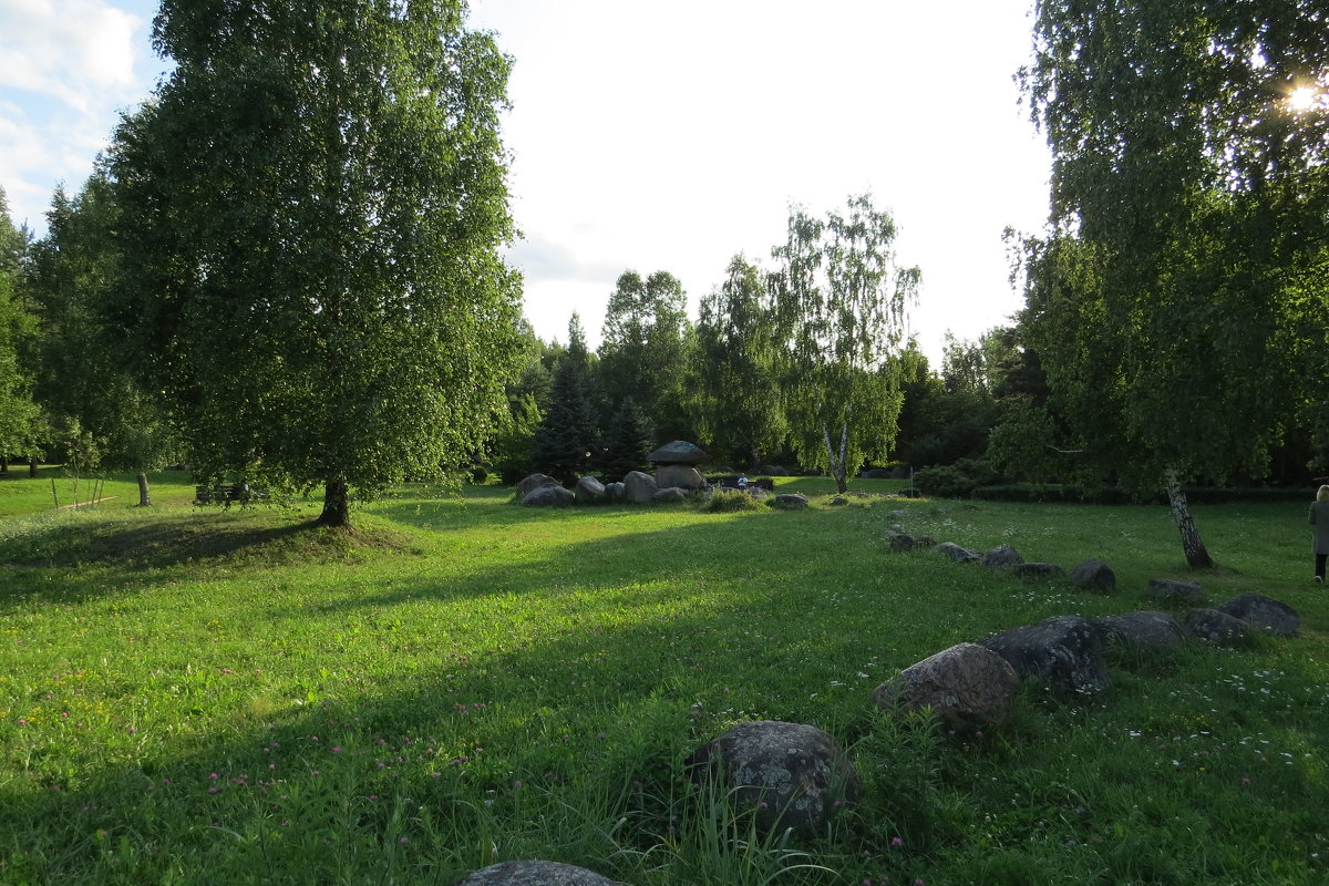 Сад камней - Вера Щукина