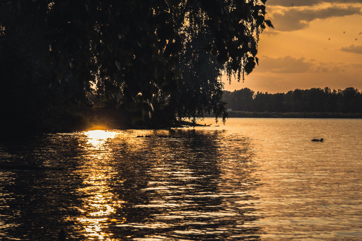 Закат на озере - Вадим Басов