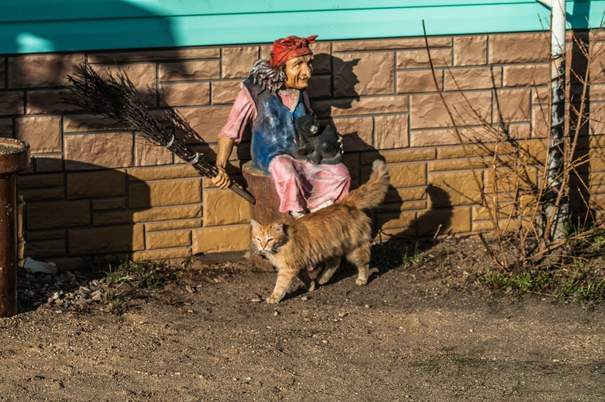 А у нас во дворе.... - Анатолий Нецепляев