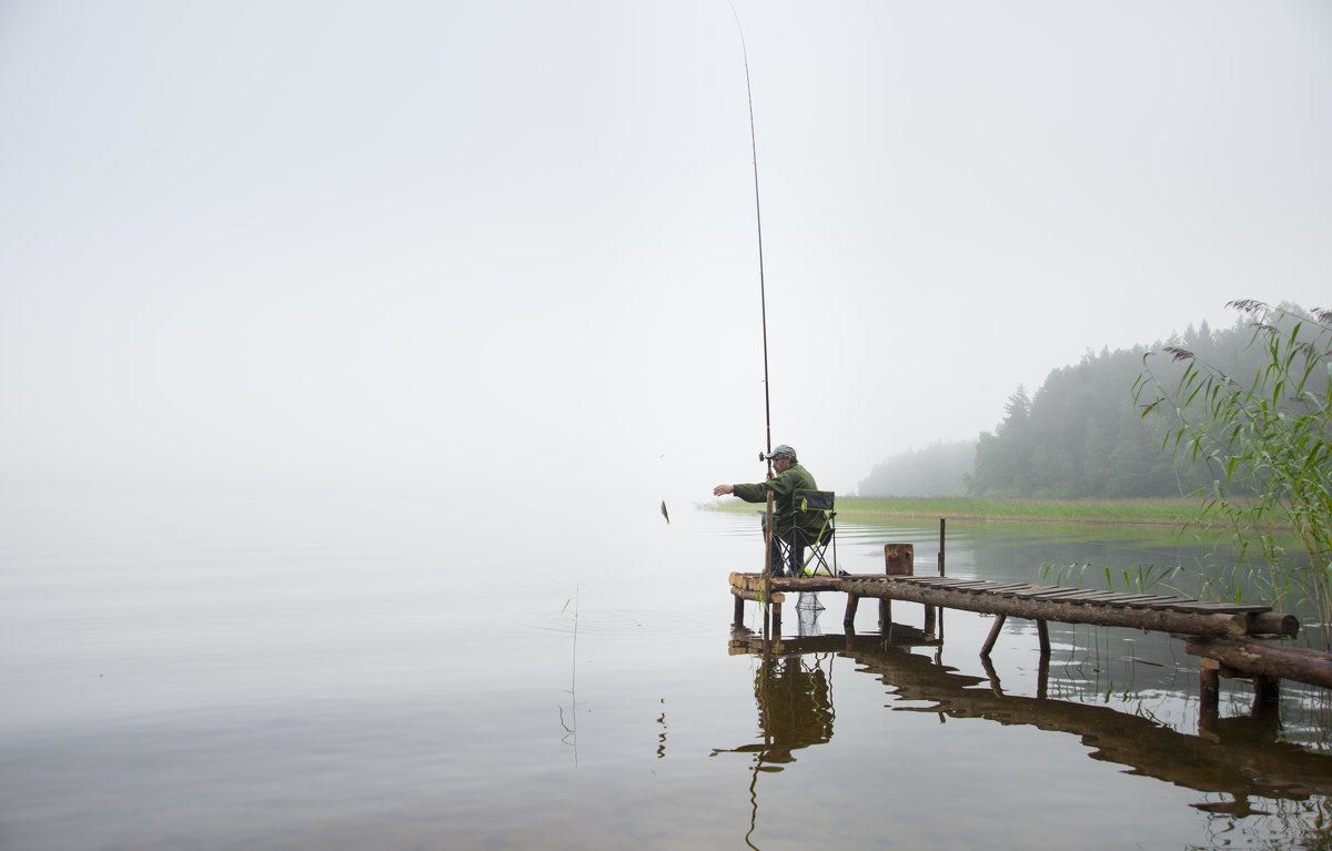 Рыбалка туманным утром - Михаил Онипенко