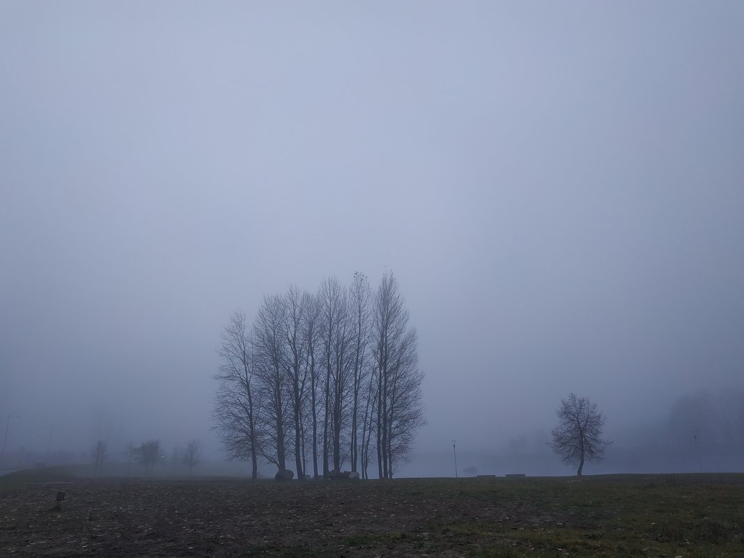 В тумане - Tatiana Kravchenko