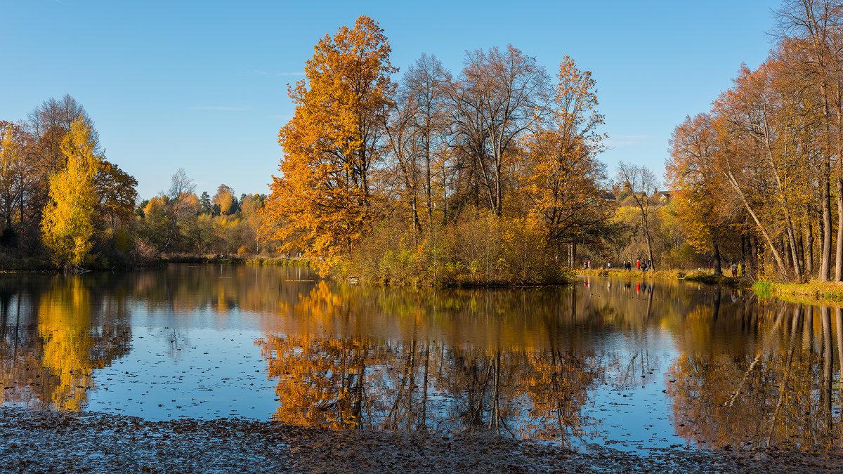 Осенний пейзаж - Владимир Лазарев