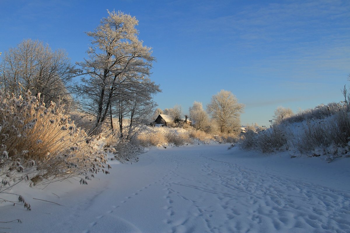 Зимние пейзажи средней полосы России