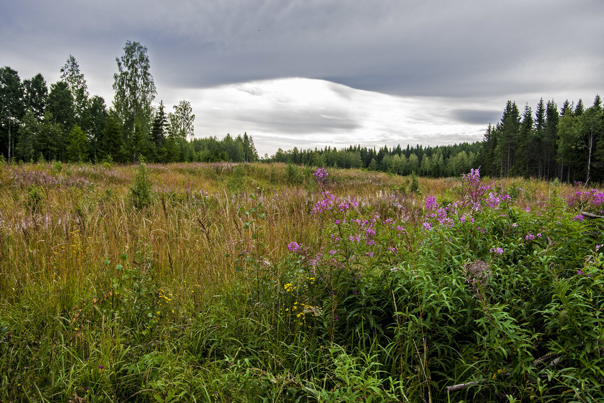 *** - Александр 