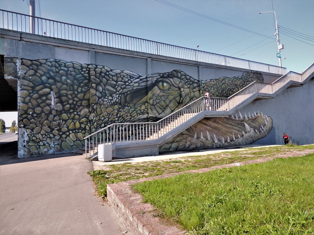 Крокодил. Граффити Канавинского моста - Вячеслав Маслов