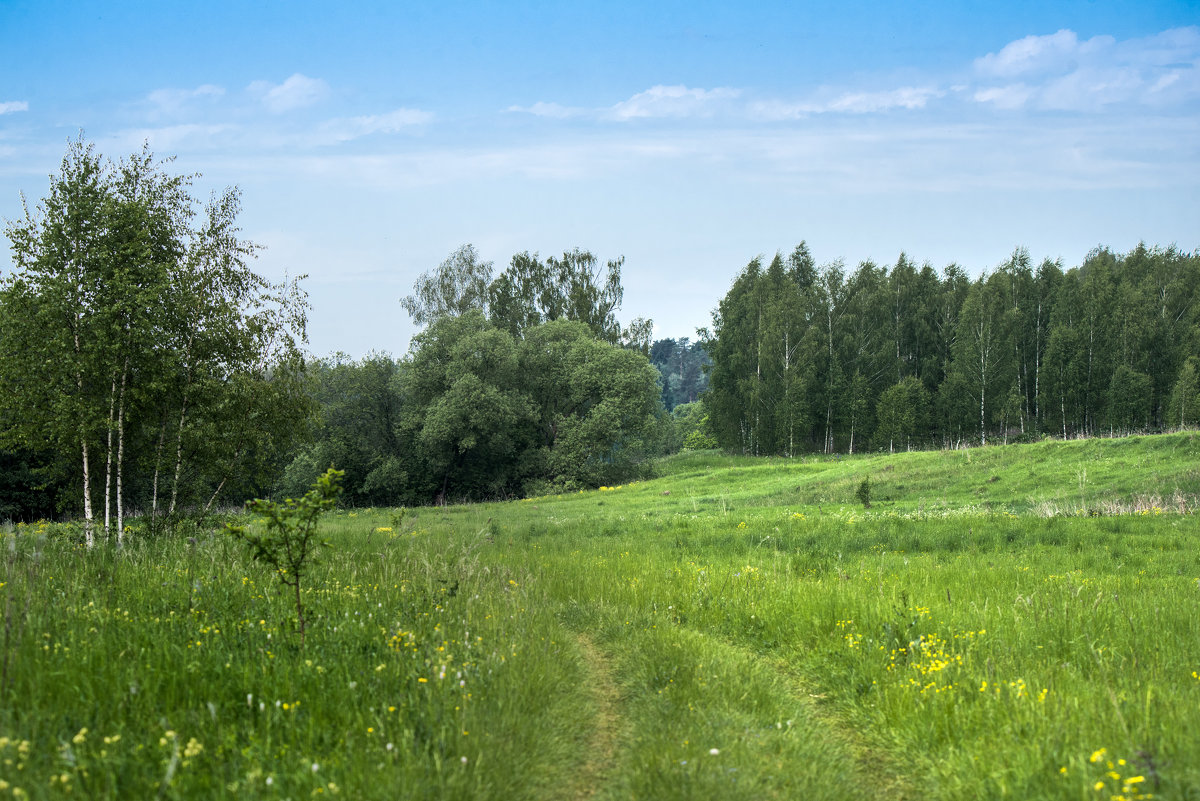 *** - Владимир Безбородов